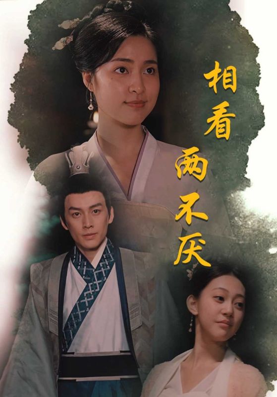 相看两不厌