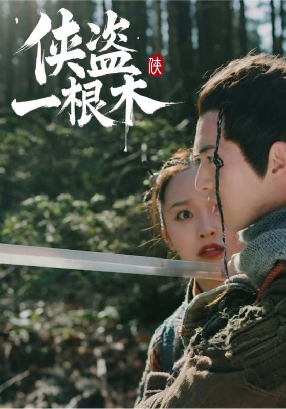 侠盗一根木