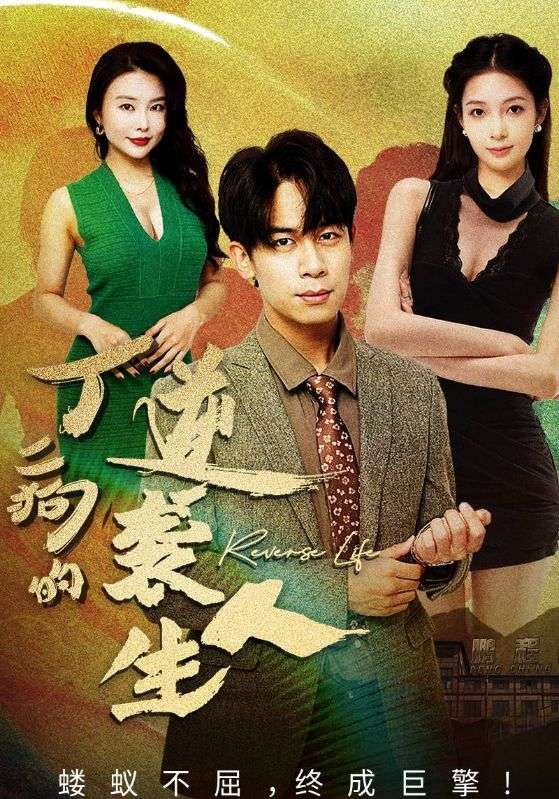 丁二狗的逆袭人生