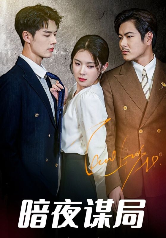 暗夜谋局