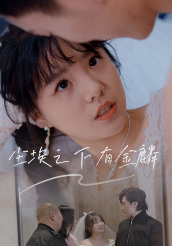 尘埃之下有金麟封面图