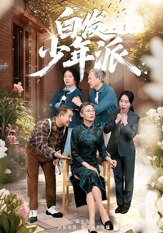 白发少年派