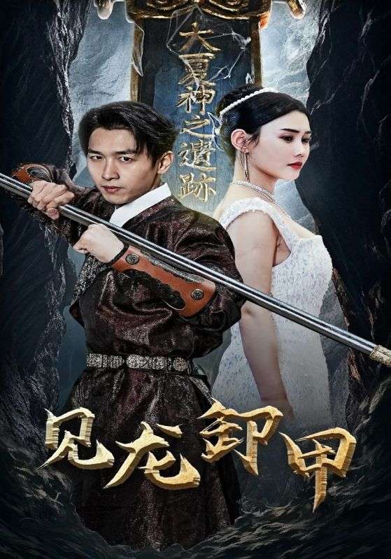 见龙卸甲封面图