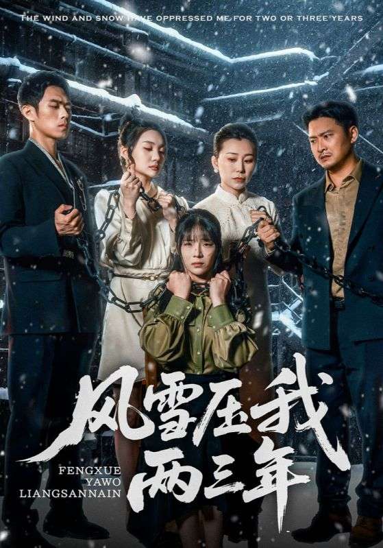 风雪压我两三年封面图