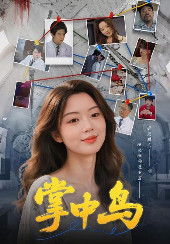 掌中鸟封面图