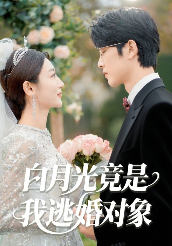 白月光竟是我逃婚对象