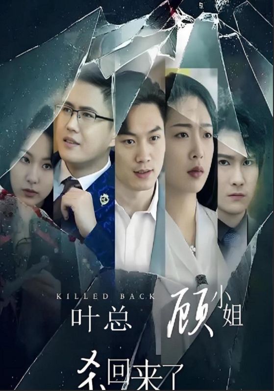 叶总顾小姐杀回来了