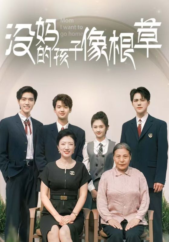 没妈的孩子像根草