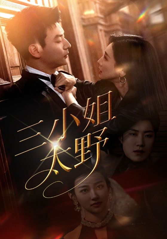 三小姐太野封面图