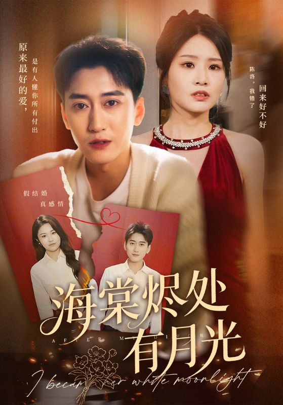 海棠烬处有月光