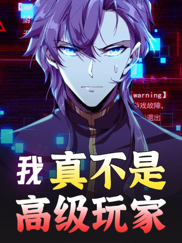 我真不是高级玩家