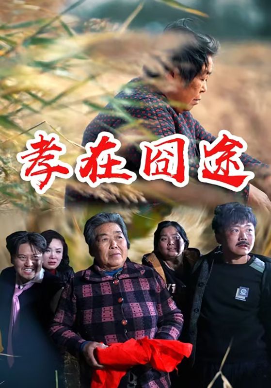 孝在囧途
