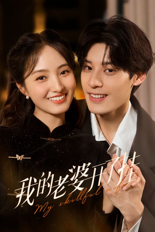 我的老婆开了挂