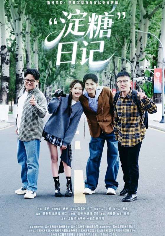 “淀糖”日记封面图
