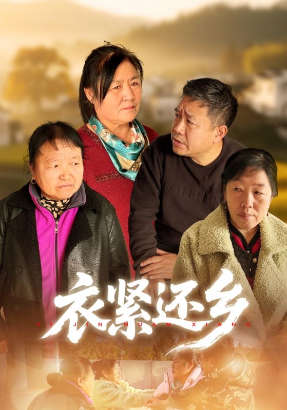 衣紧还乡封面图