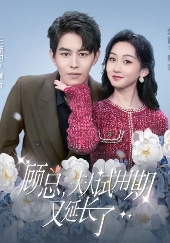 顾总，夫人试用期又延长了