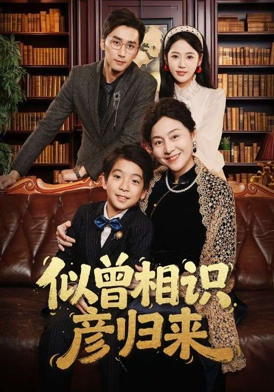 似曾相识彦归来封面图