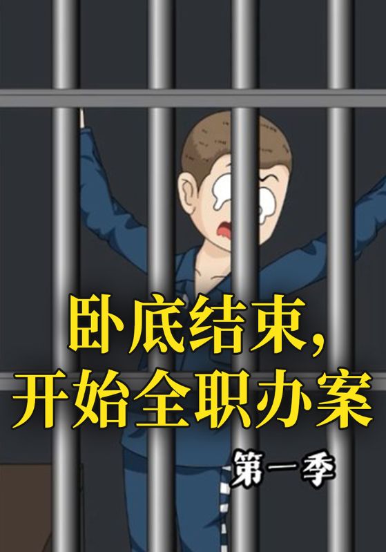卧底结束，开始全职办案第一季封面图
