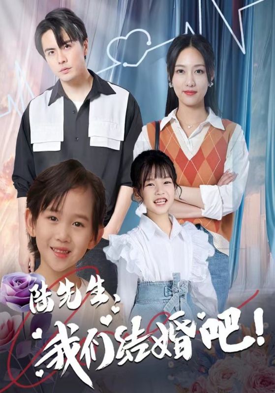 陆先生，我们结婚吧