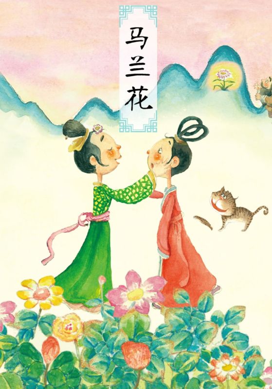 马兰花封面图