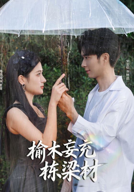 榆木妄充栋梁材