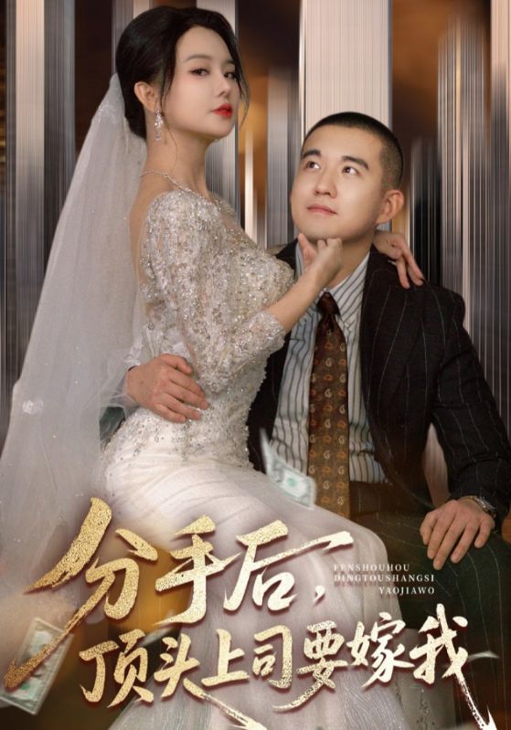 分手后，顶头上司要嫁我