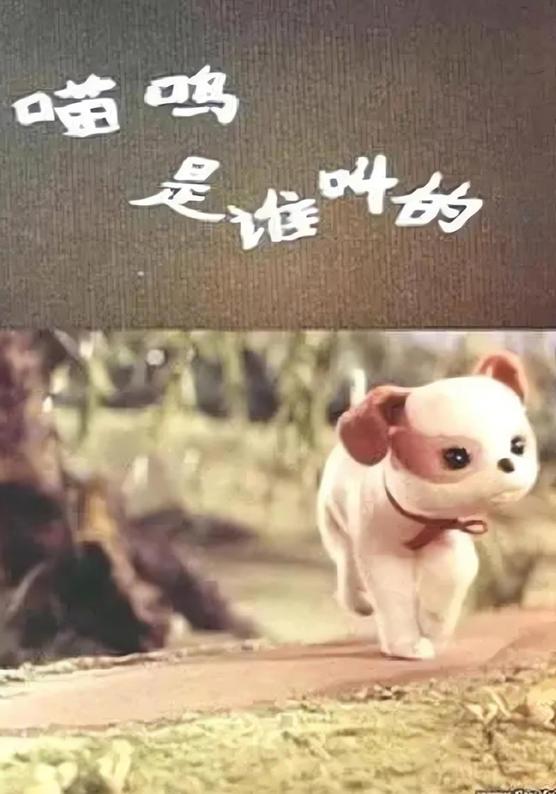 喵呜是谁叫的