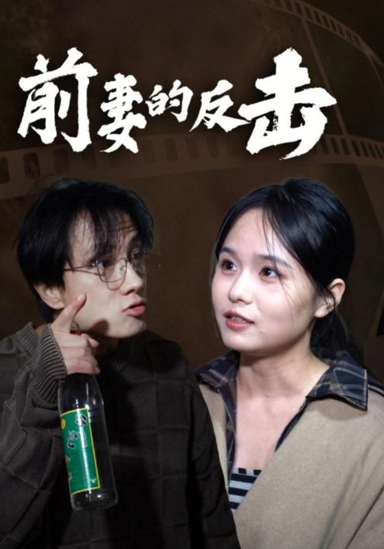 前妻的反击