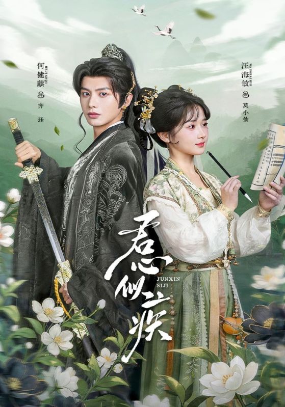 君心似疾封面图