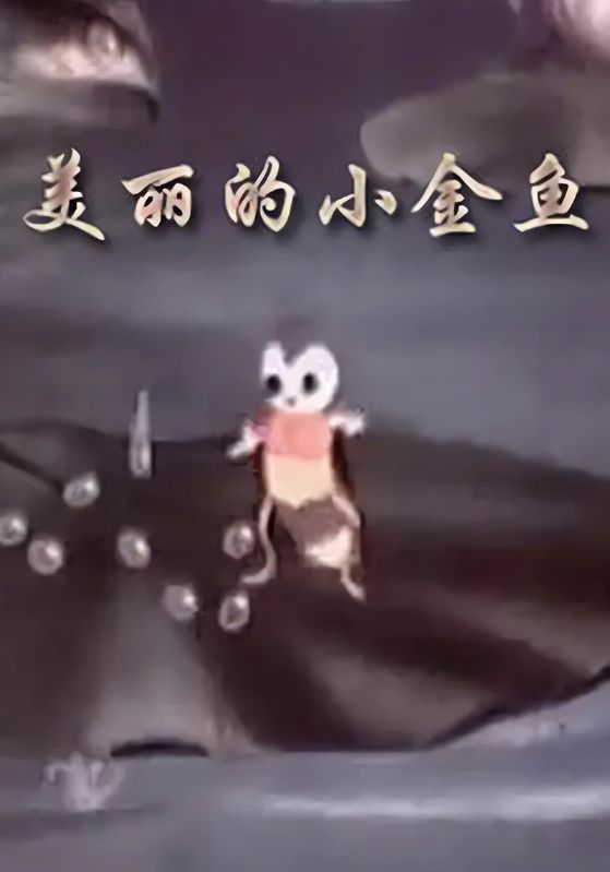 美丽的小金鱼