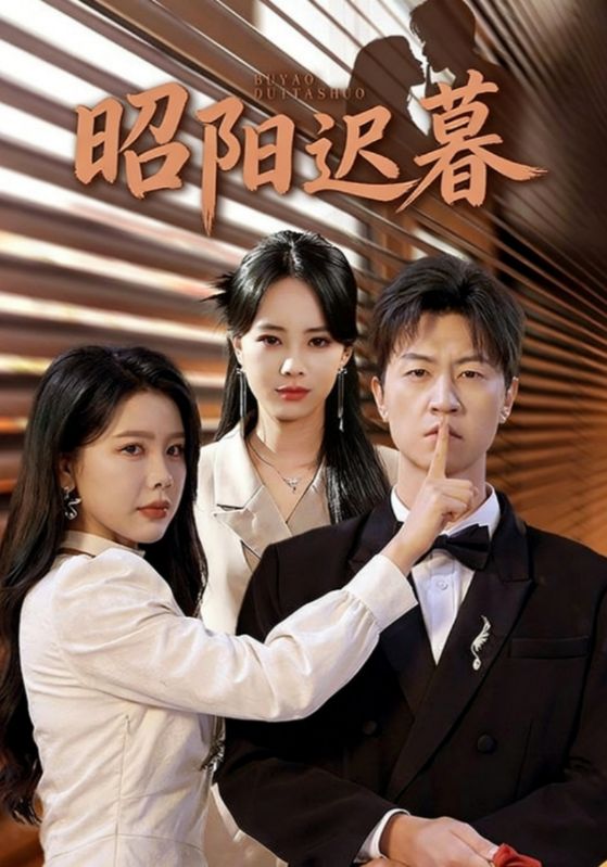 昭阳迟暮封面图