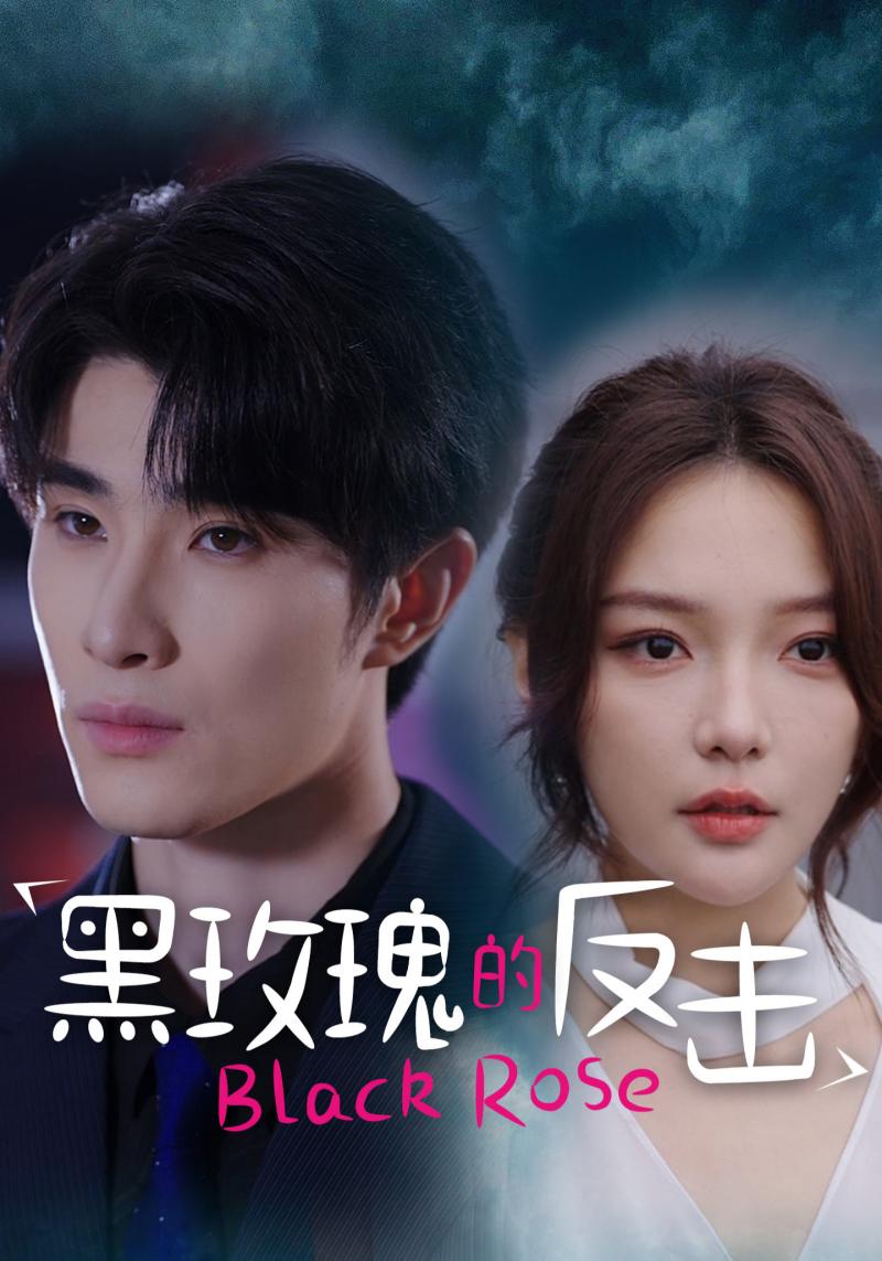 黑玫瑰的反击