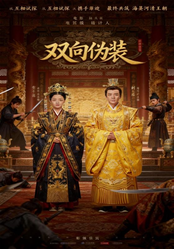 双向伪装