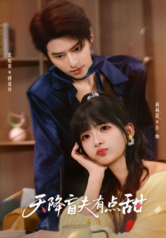 天降盲夫有点甜