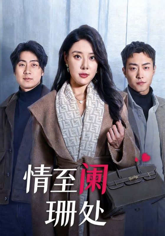 情至阑珊处封面图
