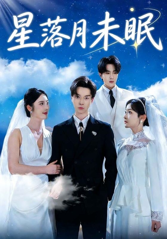 星落月未眠封面图