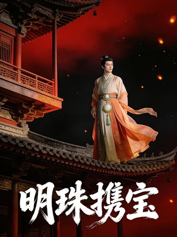 明珠携宝封面图