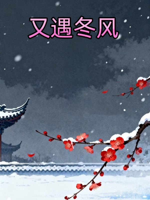 又遇冬风封面图