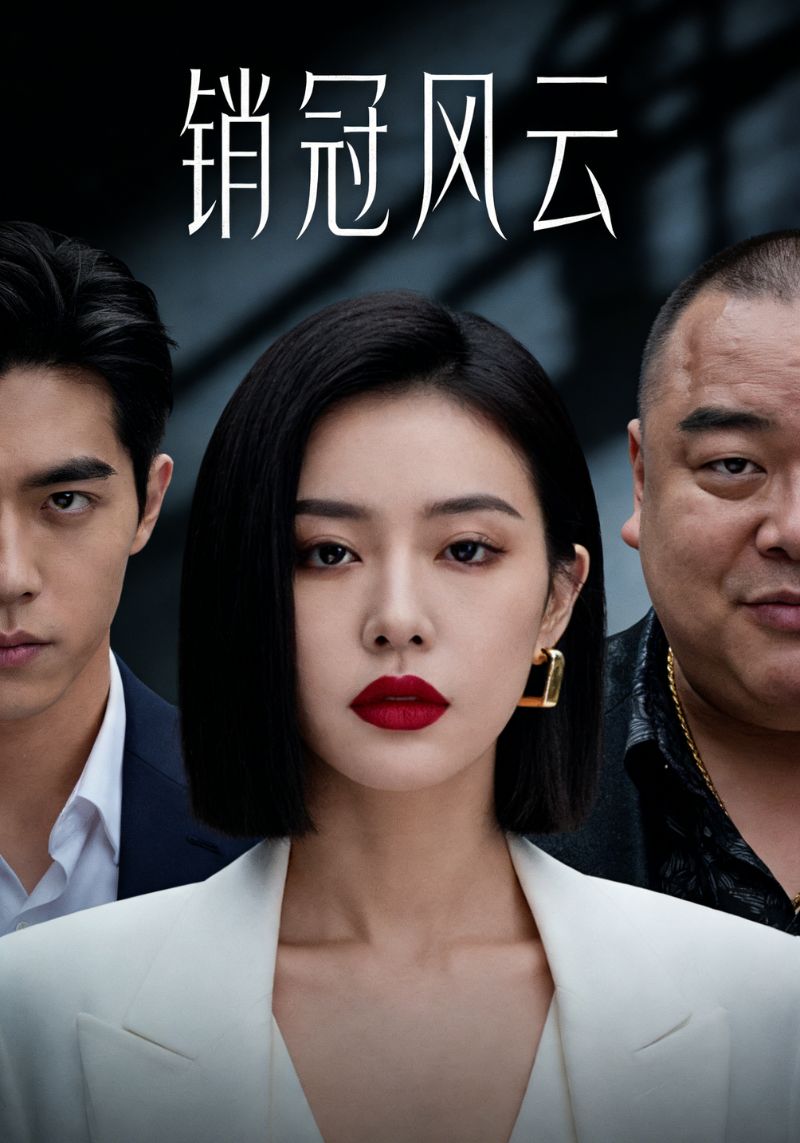 销冠风云封面图