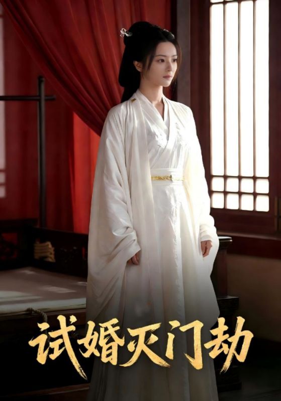试婚灭门劫封面图
