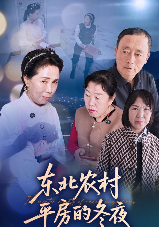 东北农村平房的冬夜封面图