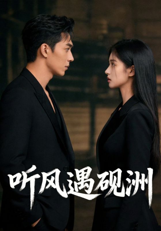 听风遇砚洲
