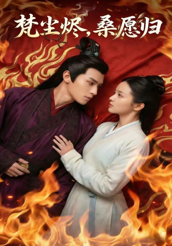 梵尘烬，桑愿归