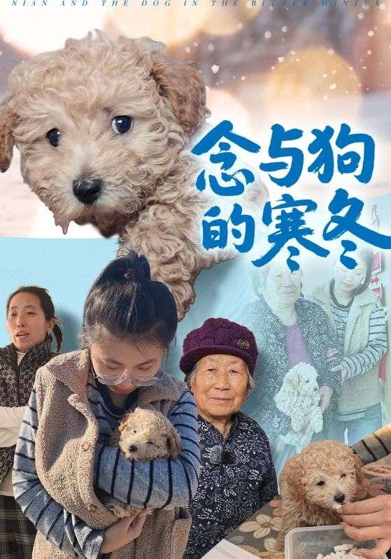 念与狗的寒冬封面图