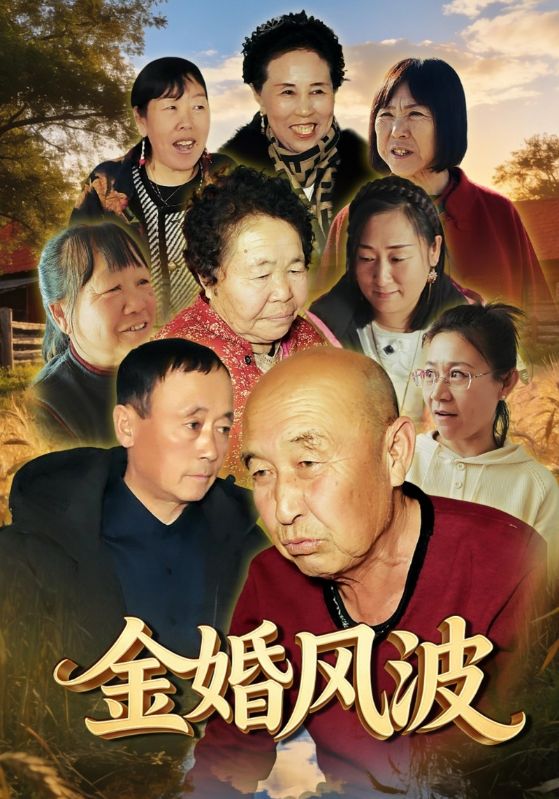 金婚风波封面图