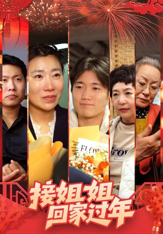 接姐姐回家过年封面图