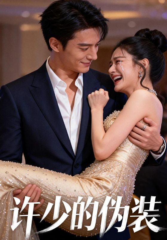 许少的伪装封面图