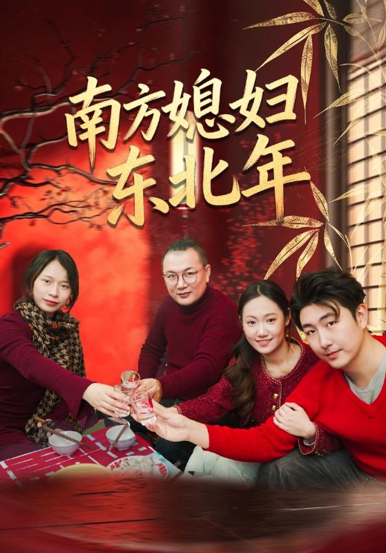 南方媳妇东北年封面图