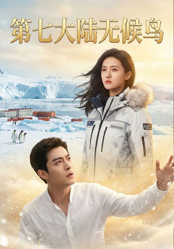 第七大陆无候鸟