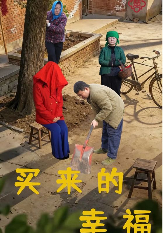 买来的幸福封面图